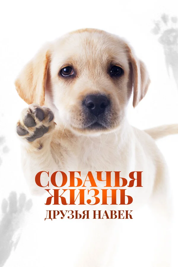 Собачья жизнь: Друзья навек постер